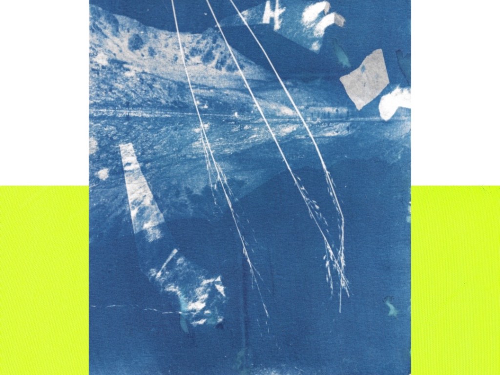 CYANOTYPE | blueprints